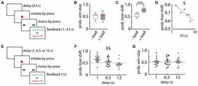 Lose-Shift Responding in Humans Is Promoted by Increased Cognitive Load